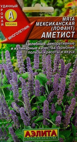 Мята мексиканская (лофант) "Аметист" ТМ "Аэлита" 0.05г