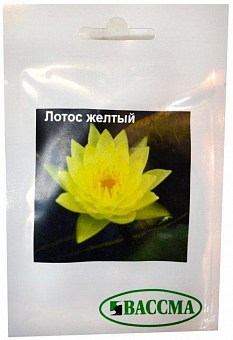СЕМЕНА ЛОТОСА: купить семена лотоса почтой в Киеве, Одессе и Украине ...