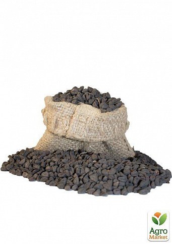 На вагу Іпомея "Скарлет О'Хара" ТМ "Весна" ціна за 2г - фото 3