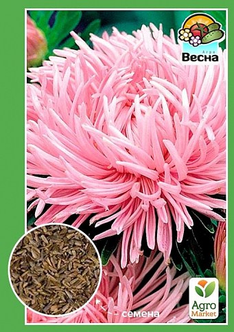 Астра "Шиншила" розовая ТМ "Весна" 0.2г