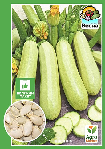 Кабачок "Бьянка" (Большой пакет) ТМ "Весна" 5г NEW
