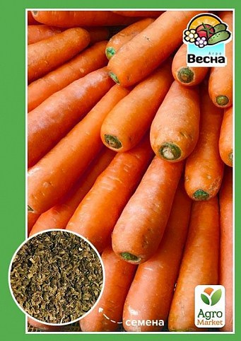 Морковь "Ява" ТМ "Весна" 2г