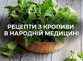 Як позбутися кропиви | Agro-market