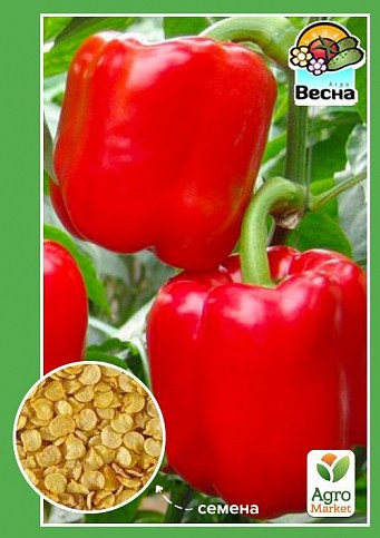Перець "Асті" ТМ "Весна" 0.2г