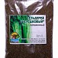 Сельдерей "Черешковый" ТМ "Весна" 100г купить