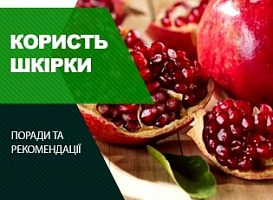 Гранатова кожура: користь і шкода - корисні статті про садівництво від Agro-Market