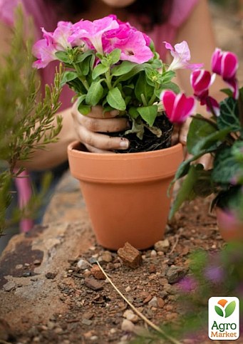 Торфосуміш універсальна COMPO SANA 10л (1131) - фото 2