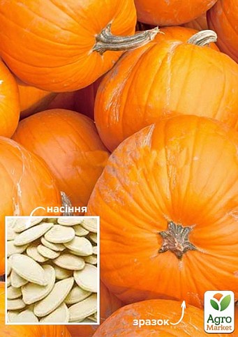Гарбуз "Біг Макс" ТМ "Весна" 100г
