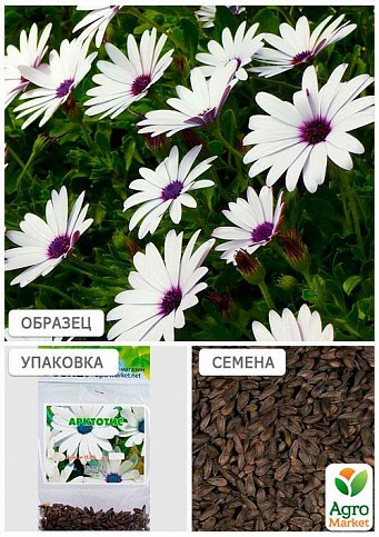 Арктотис (Зипер) ТМ "Весна" 1,5г - фото 2