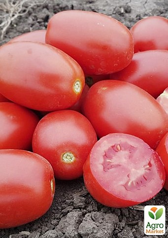 Томат детерминантный "9905 F1" ТМ "Lark Seeds" 5000шт