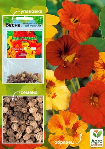 Настурція суміш (Зипер) ТМ "Весна" 2г