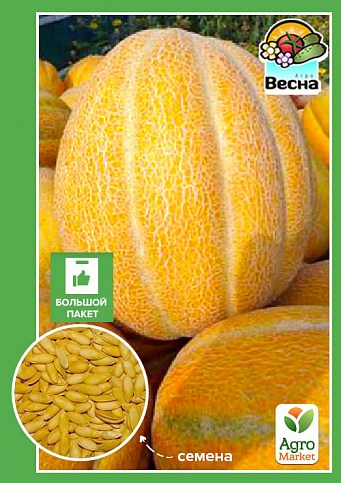 Диня "Ефіопка" (Великий пакет) ТМ "Весна" 4г
