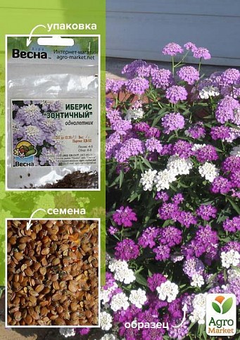 Иберис зонтичный (Зипер) ТМ "Весна" 1г