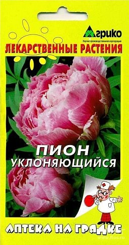 Півонія "ухиляється" ТМ "Агріко" 3шт