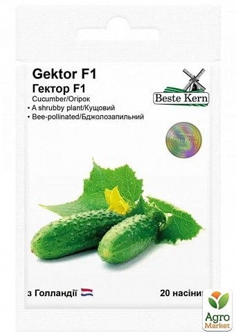 Огірок "Гектор F1" ТМ "Beste Kern" 20шт