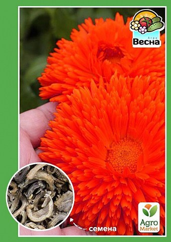Календула "Радио" ТМ "Весна" 0.5г