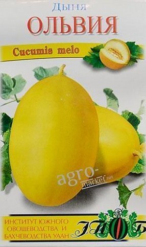 Диня "Ольвія" ТМ "Сонячний березень" 50шт