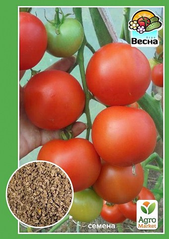 Томат "Прибыльное дело" ТМ "Весна" 0.1г