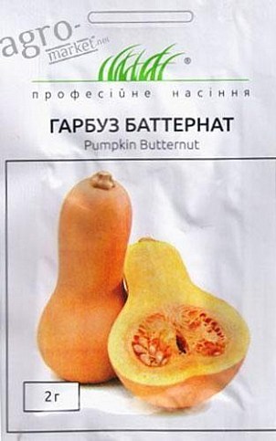 Тыква "Баттернат" ТМ "Hem Zaden" 2г