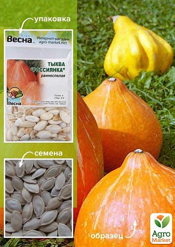 Тыква "Россиянка" (Зипер) ТМ "Весна" 8г