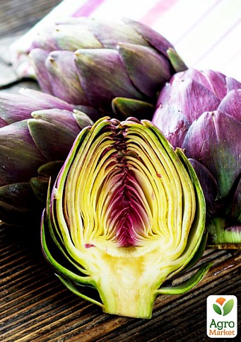 Артишок "Violet de Provence"