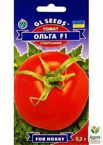 Томат Ольга Фото