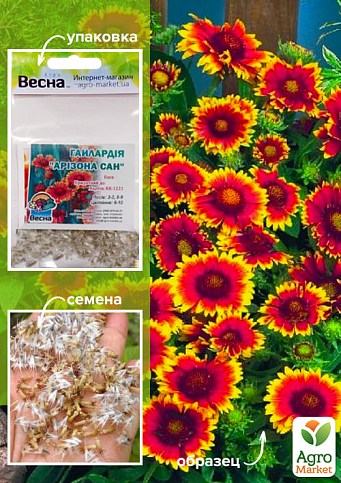 Гайлардия "Аризона Сан" (Зипер) ТМ "Весна" 0,5г