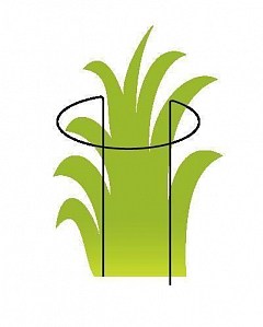 Опора для растений ТМ "ORANGERIE" тип P (зеленый цвет, высота 200 мм, кольцо 100 мм, диаметр проволки 3 мм)2