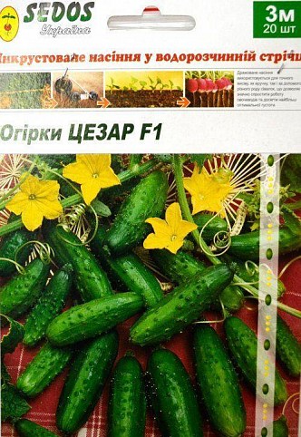 Огірок "Цезар F1" ТМ "Sedos" 3м 20шт