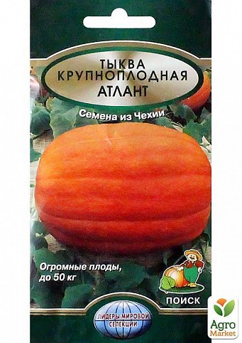 Тыква крупноплодная "Атлант" ТМ "Поиск" 5шт
