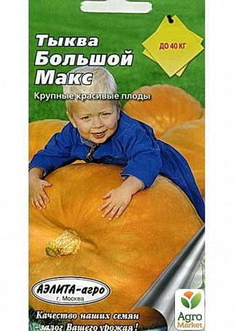 Тыква "Большой Макс" ТМ "Аэлита" 1г