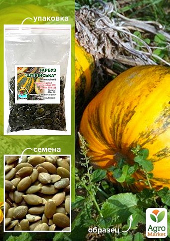 Гарбуз "Штирійський" ТМ "Весна" 100г