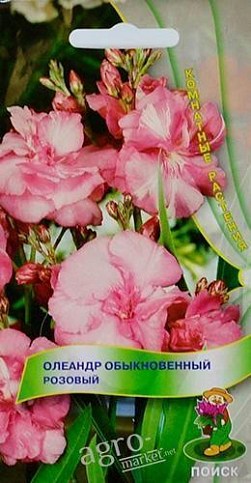 Олеандр звичайний "Рожевий" ТМ "Пошук" 6шт