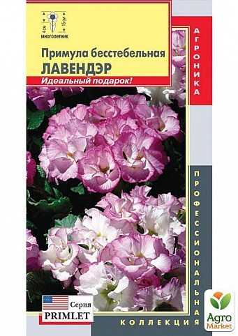Примула бесстебельная "Лавендэр" ТМ "Плазменные семена" 5шт