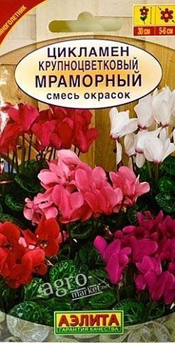 Цикламен крупноцветковый "Мраморный" смесь окрасок ТМ "Аэлита" 0.05г