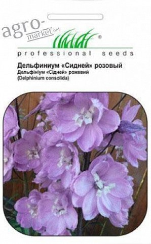 Дельфініум рожевий "Сідней" ТМ «Hem Zaden" 0.4г