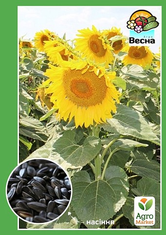 Соняшник "Алькантара" ТМ "Весна" 3кг