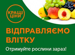 Рослинки, котрі відправляємо влітку!