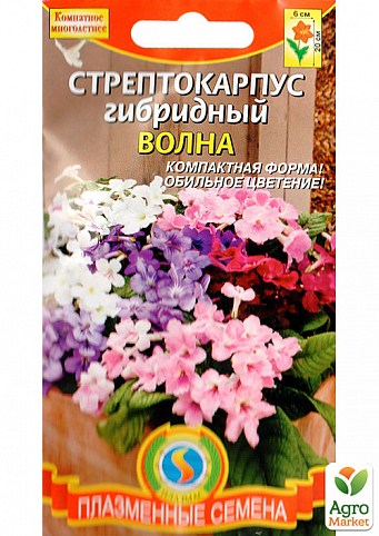 Стрептокарпус гибридный "Волна" смесь ТМ "Плазменные семена" 5шт NEW