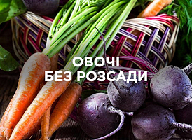 Овочі без розсади: що можна сіяти відразу в ґрунт | Agro-market