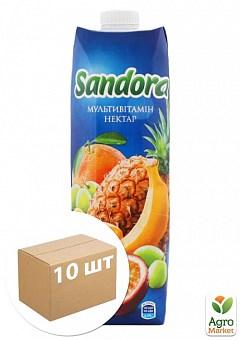 Нектар мультифруктовий ТМ "Sandora" 0,95 л упаковка 10шт1