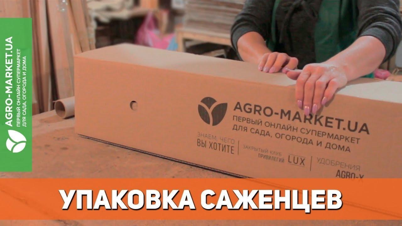 Арбуз "Гарный" ТМ "Весна" 1.5г Арбуз "Гарный" ТМ "Весна" 1.5г
