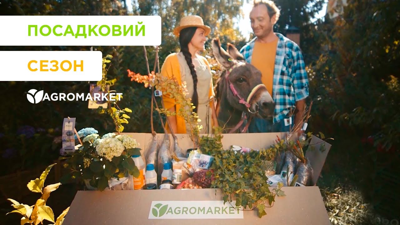Морковь "Каротель" ТМ "Весна" 2г