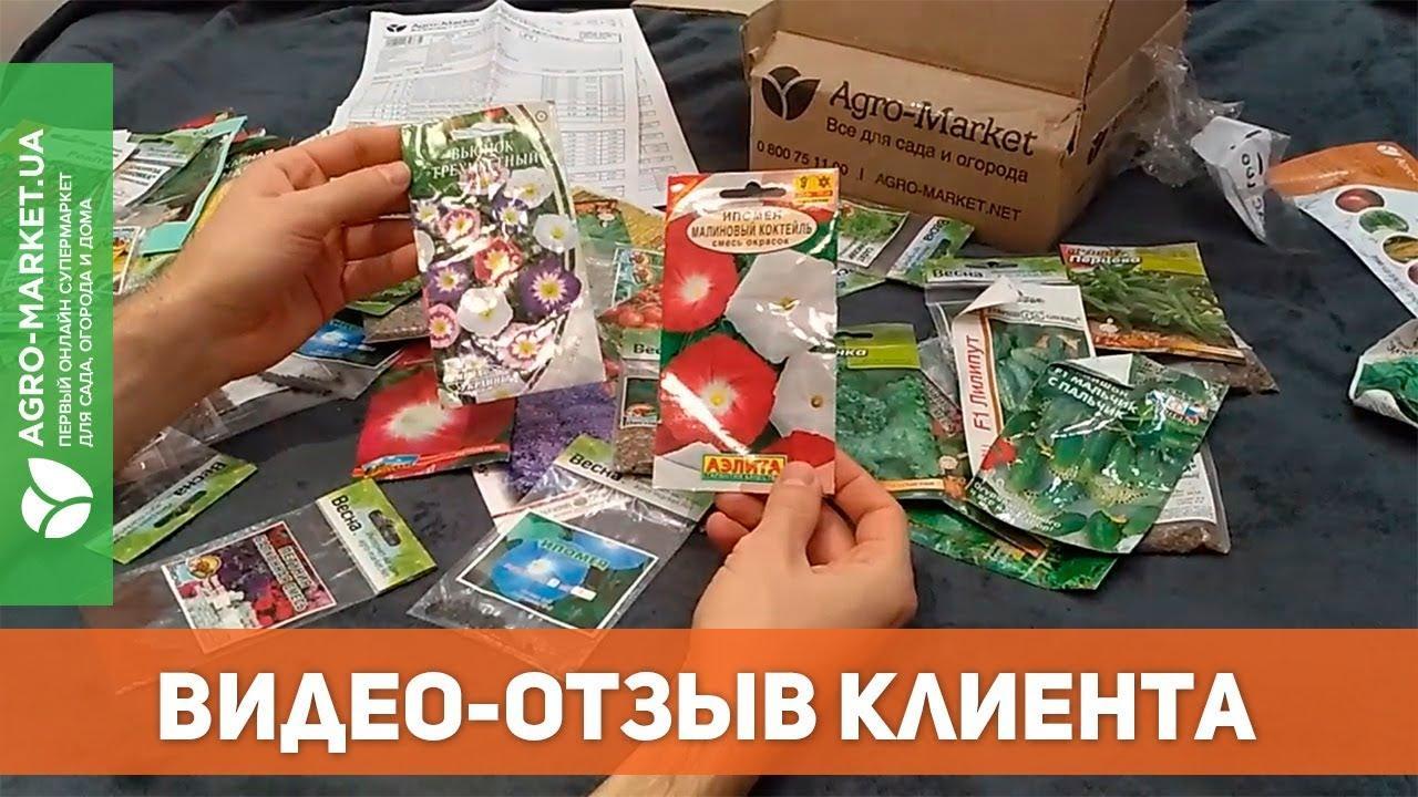 Петуния низкорослая "Зефир" ТМ "Весна" 0.3г