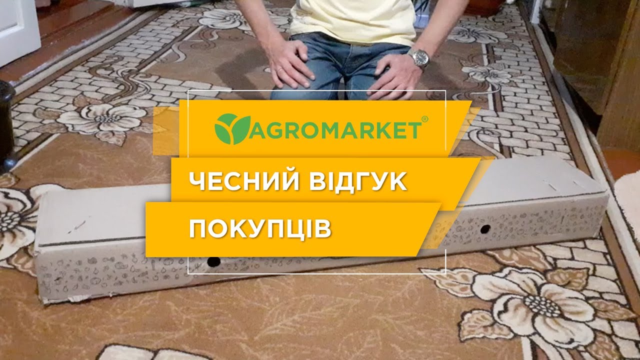 ВИНОГРАД АНТЕЙ МАГАРАЧА: купить саженцы винограда антей магарача в Одессе,  Киеве и Украине - Agro-Market