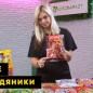 Карамель ассорти вкусов с витамином C ТМ "Чупа-чупс" 50шт по 11г купить