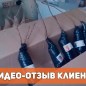 Алыча "Машенька" (летний сорт, средний срок созревания) цена