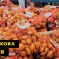 Цибуля-севок (арбажейка) мікс сортів, вага 1кг цена