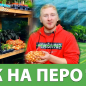 Лук-севок (арбажейка) "На зелень" (Украина) 1кг
